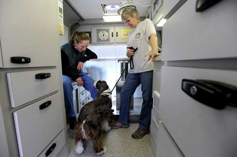 Mobile Veterinarians Quell Fears For Pets And Their Owners