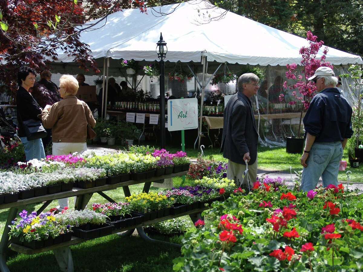 Dogwood Festival same place, different date