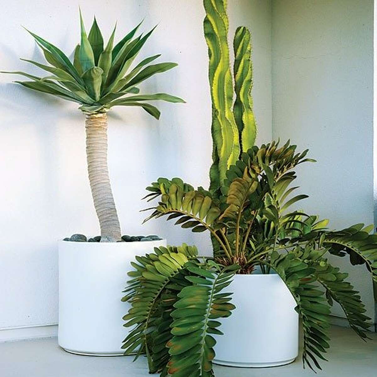 Unique container gardens for any yard