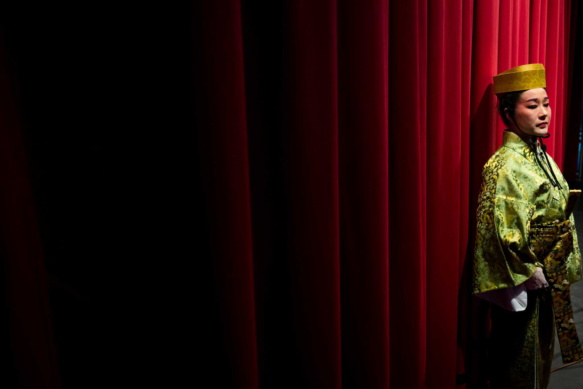 Seattle Cherry Blossom & Japanese Cultural Festival