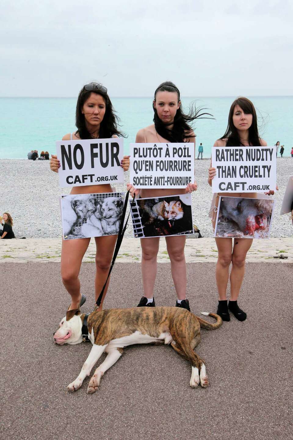 World news photos: Pussy Riots appeal, mysterious giant head and more