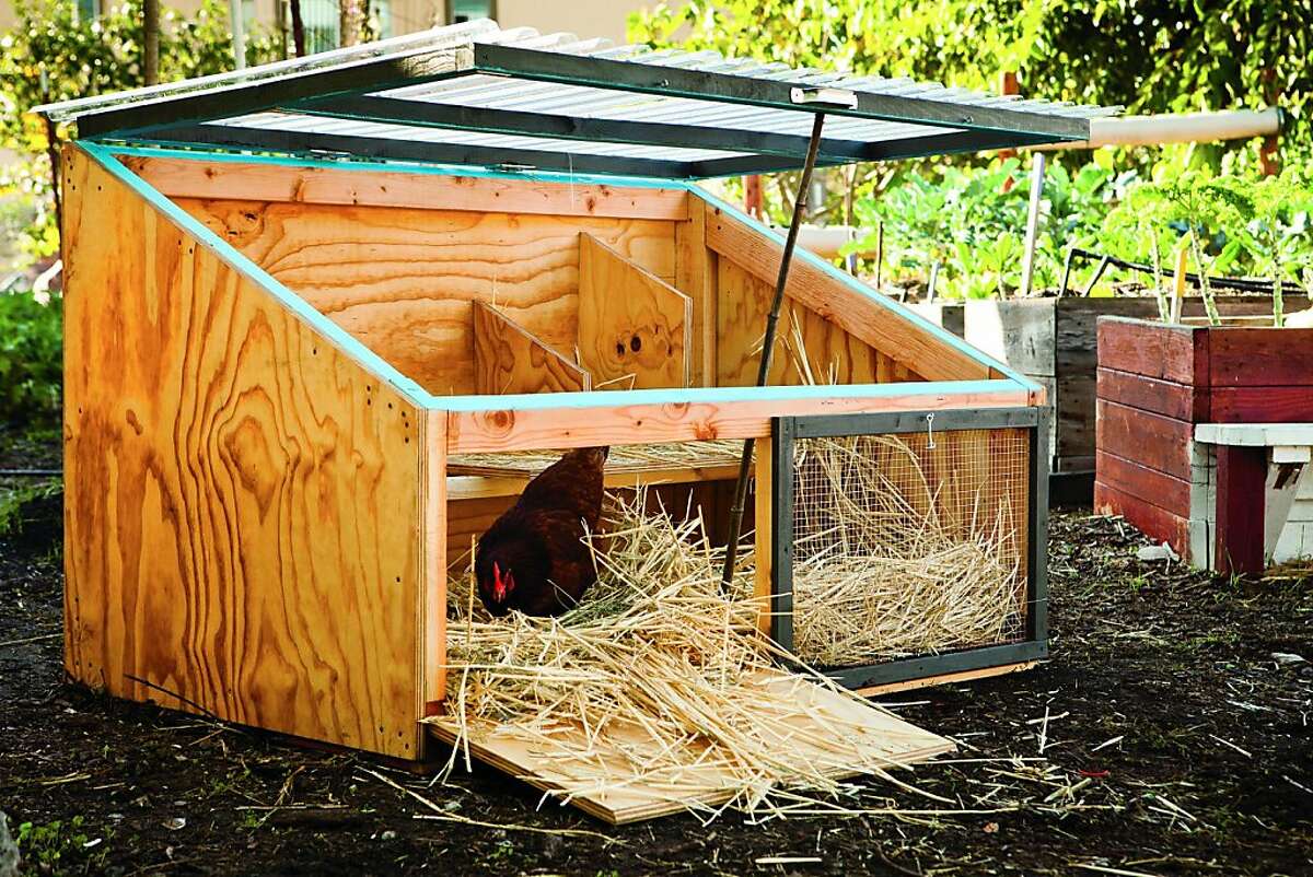 Creative coops for the best in nesting