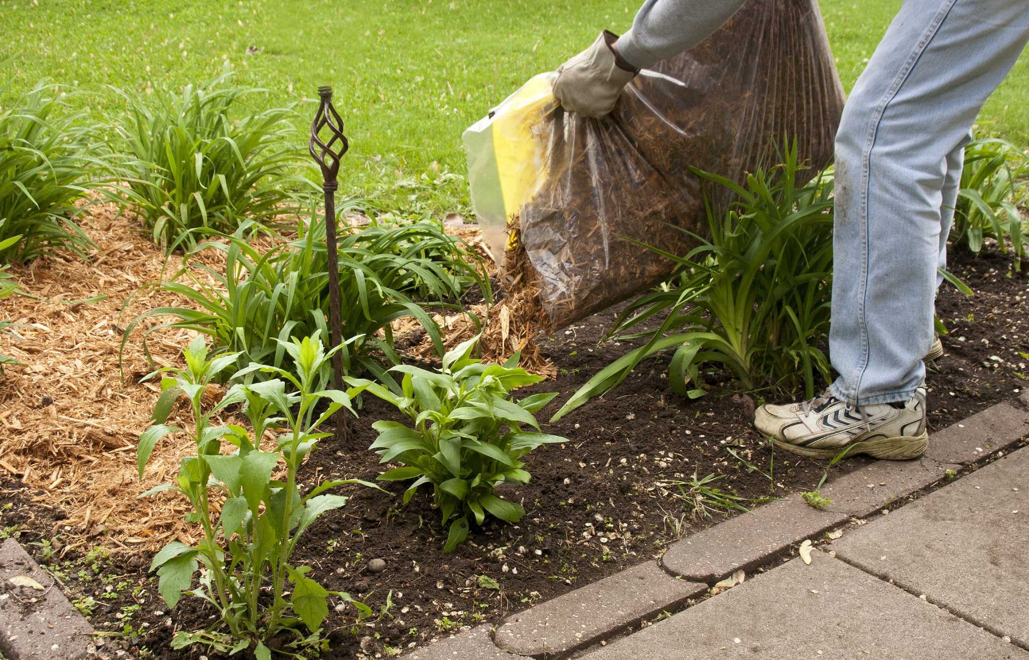 Much to learn about mulching