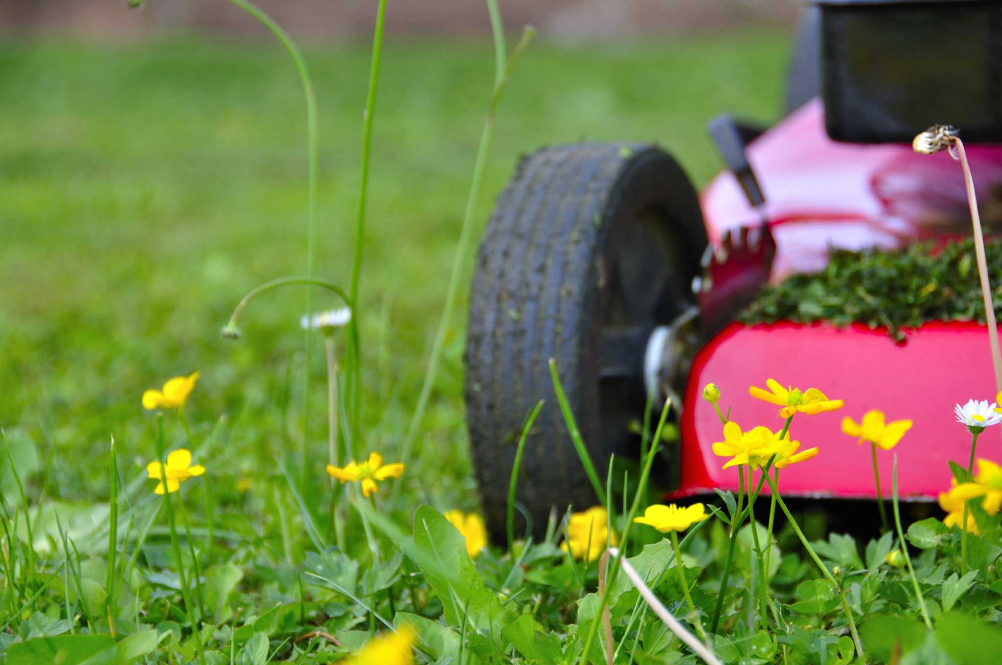 Spring is lawn mower tuneup time