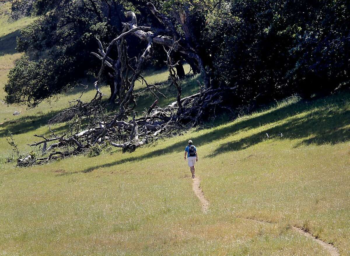 hike-mount-burdell-open-space-preserve