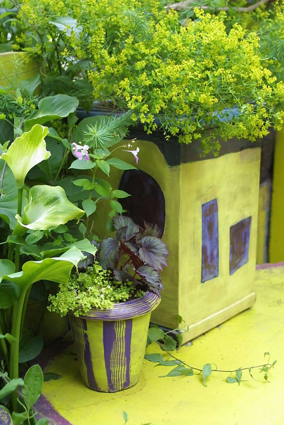 Color key to garden story