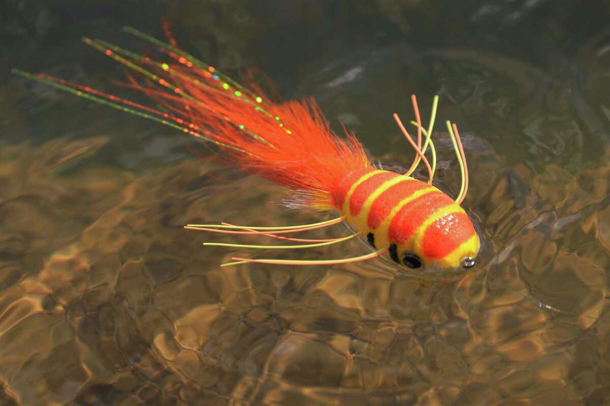 Pat cohen essays 05 picture