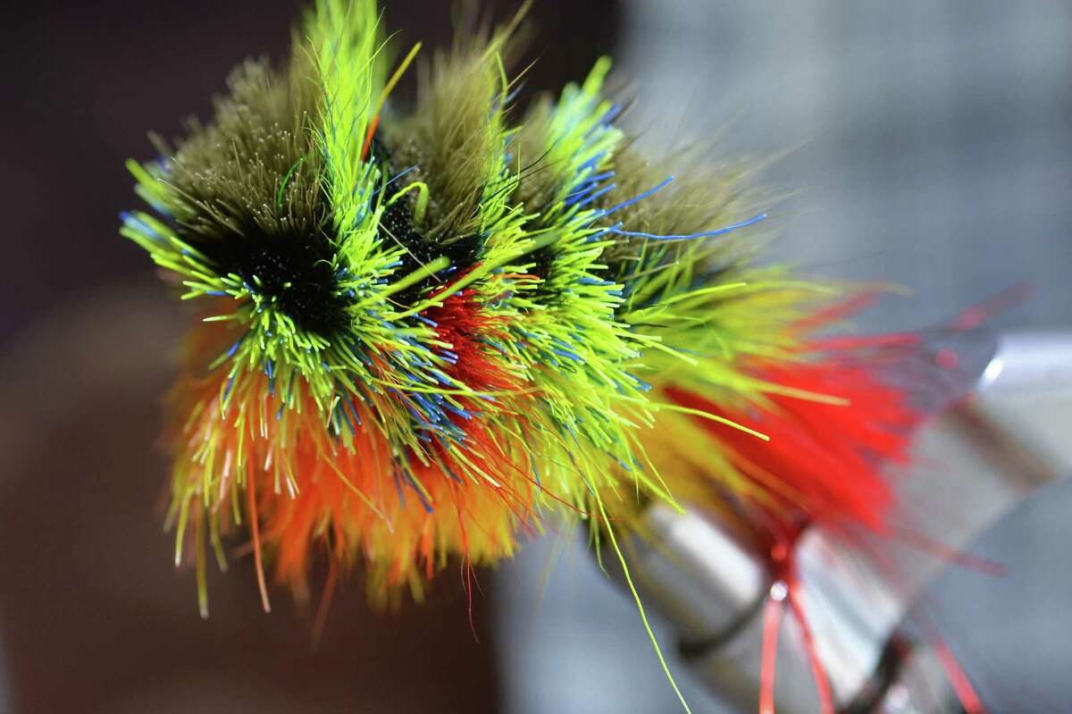 Pat cohen essays 07 image