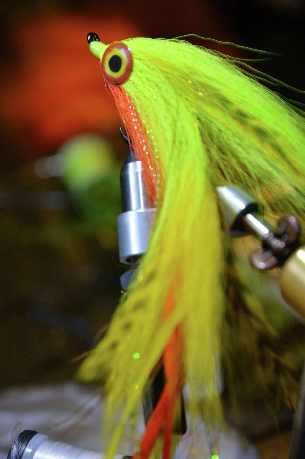 Pat cohen essays 02 picture