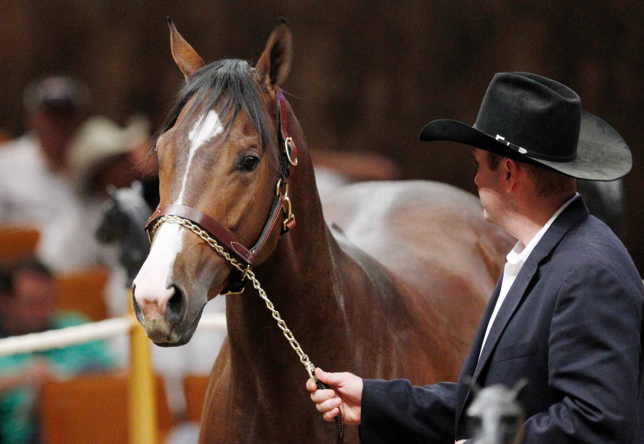 Mexico's Zetas Accused of Laundering Money With Horses - The New