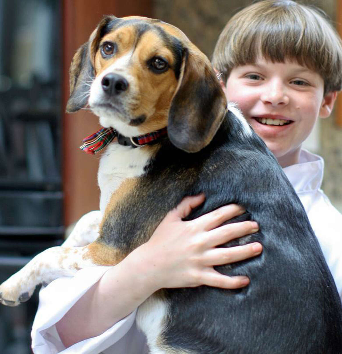 Stamford youth entrepreneur pitches dog treats on 'Shark Tank'