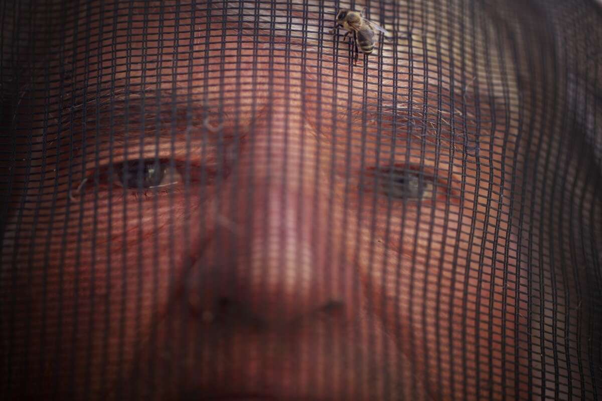 A bee lands on beekeeper Spencer Marshall's protected face on the roof of the fairmont Hotel in San Francisco.