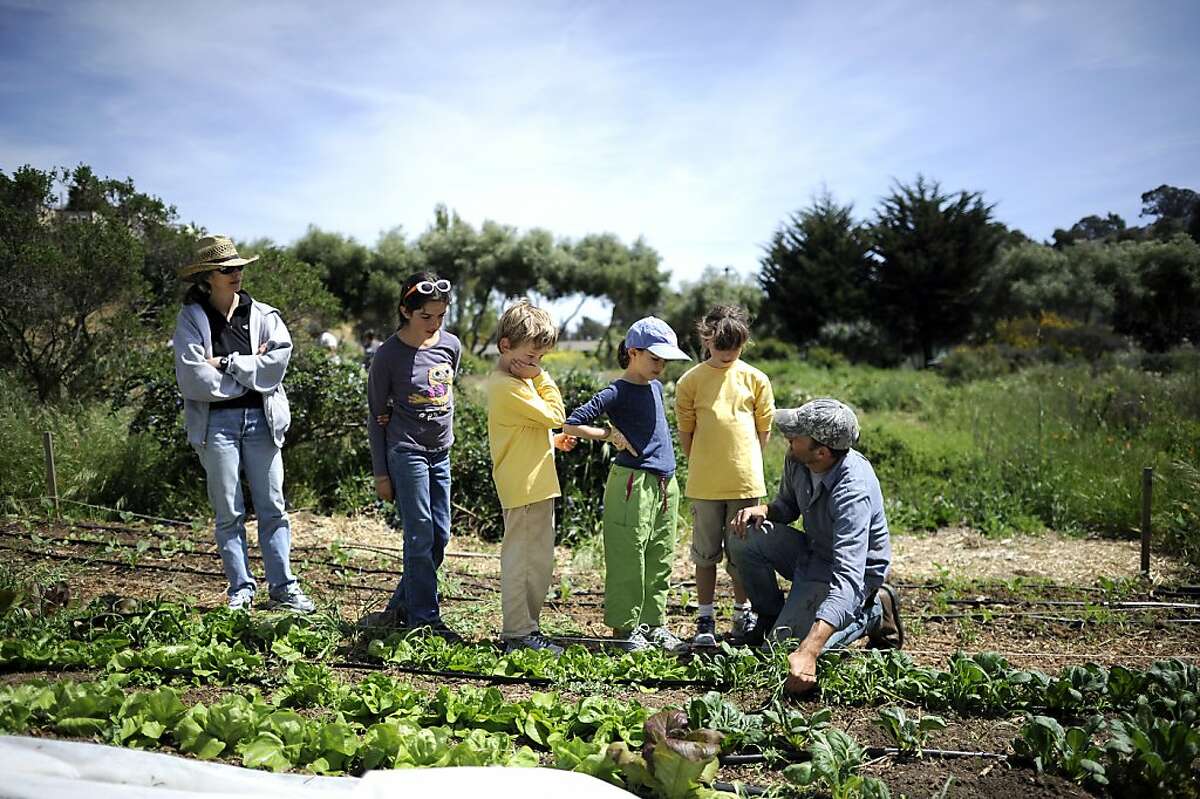 (R-L)Jason Mark instructs volunteer workers Ava Kennedy, Leda Oddo-White, Eero Kennedy, Ursula Oddo-White, and mom Frances White, on how to weed between crops at the Alemany Farm in San Francisco, CA Saturday April 13th, 2013.