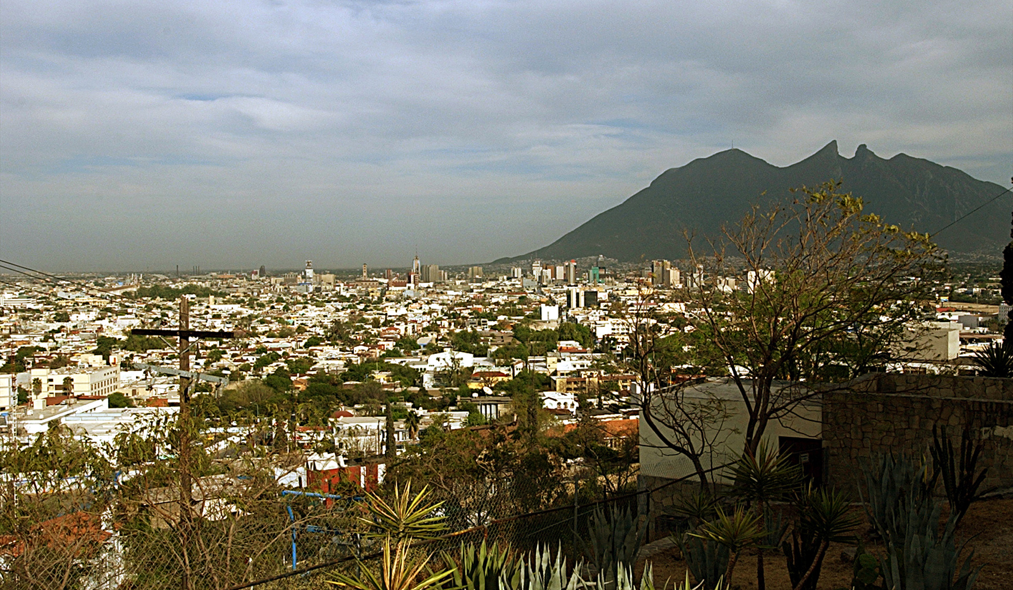 As chic as LA's Rodeo Drive, the Polanco neighborhood in Mexico