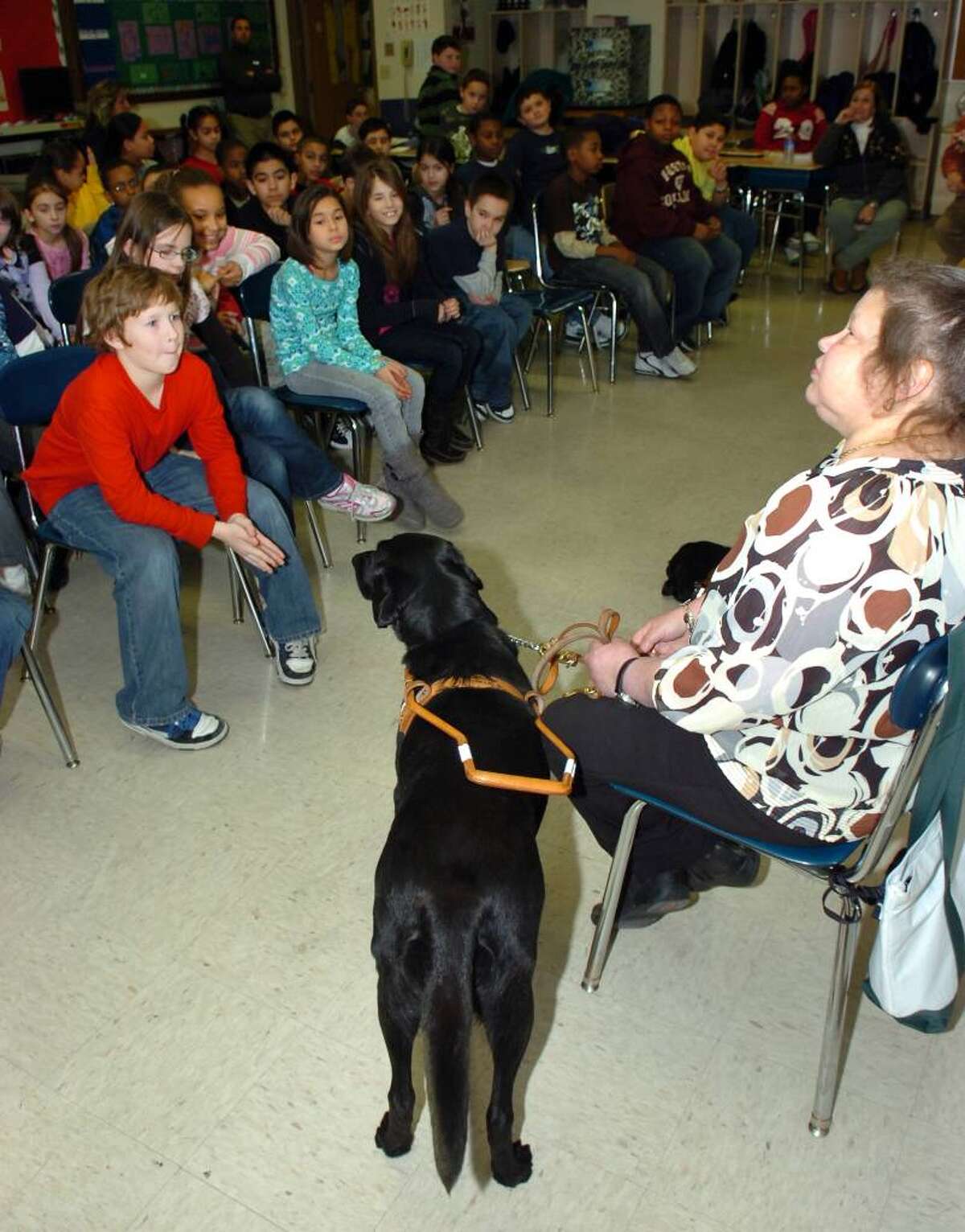 The Shelter Thats Changing The Lives Of Irvings Animals - k10v1tc
