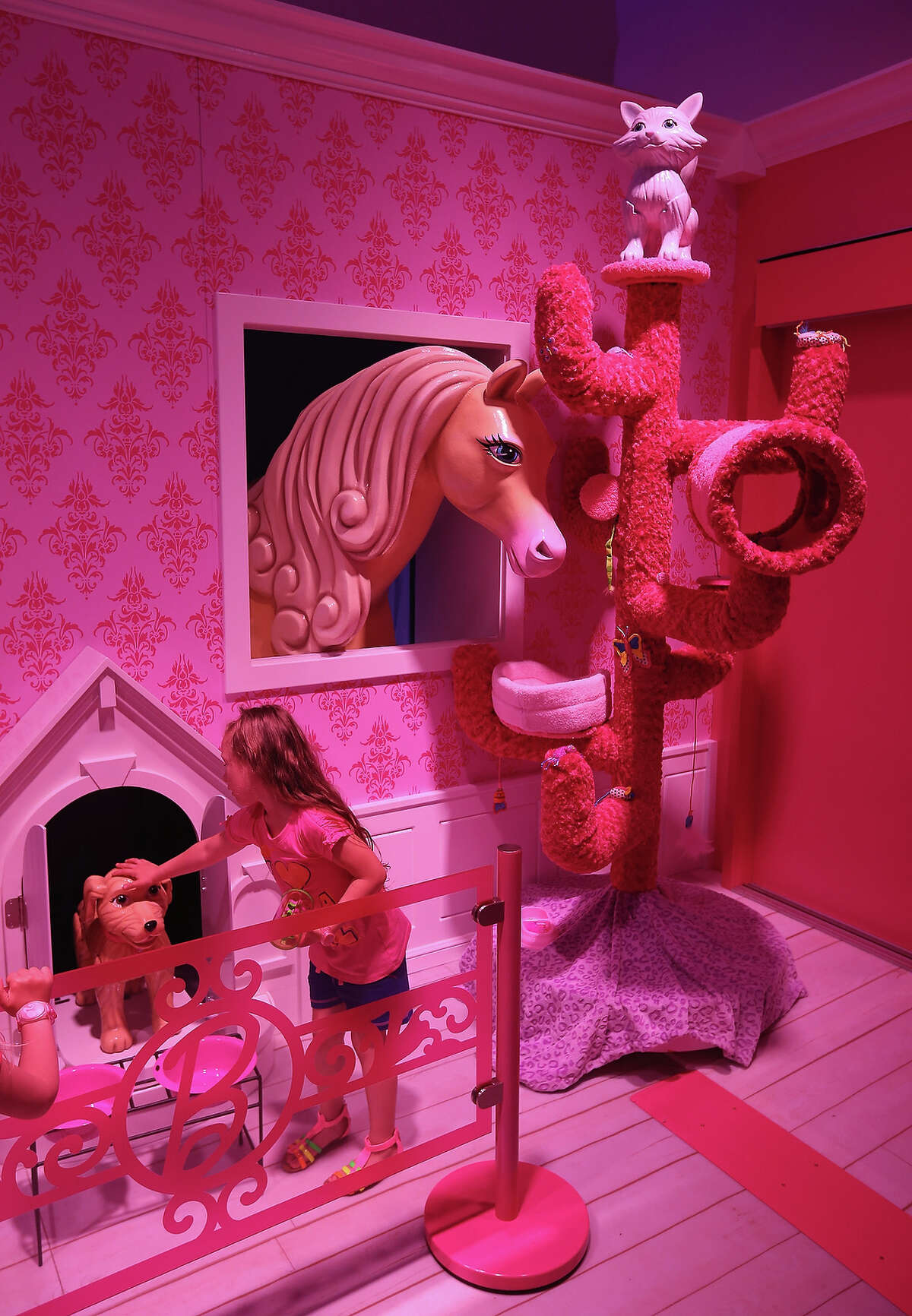 huge doll house