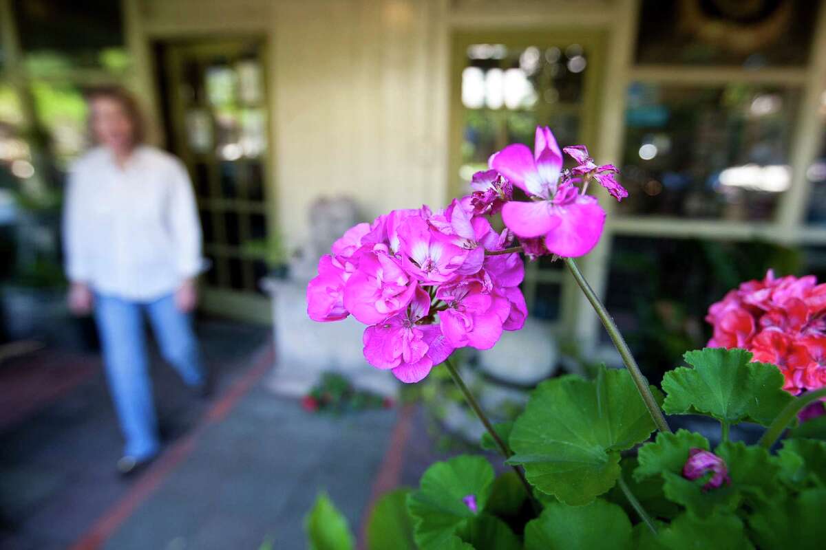 Some of the few flowers left bloom on the grounds of the Garden Gate gardening store, Tuesday, May 7, 2013, near Rice Village in Houston. The store will come to a close after 20-years. ( Nick de la Torre / Chronicle )