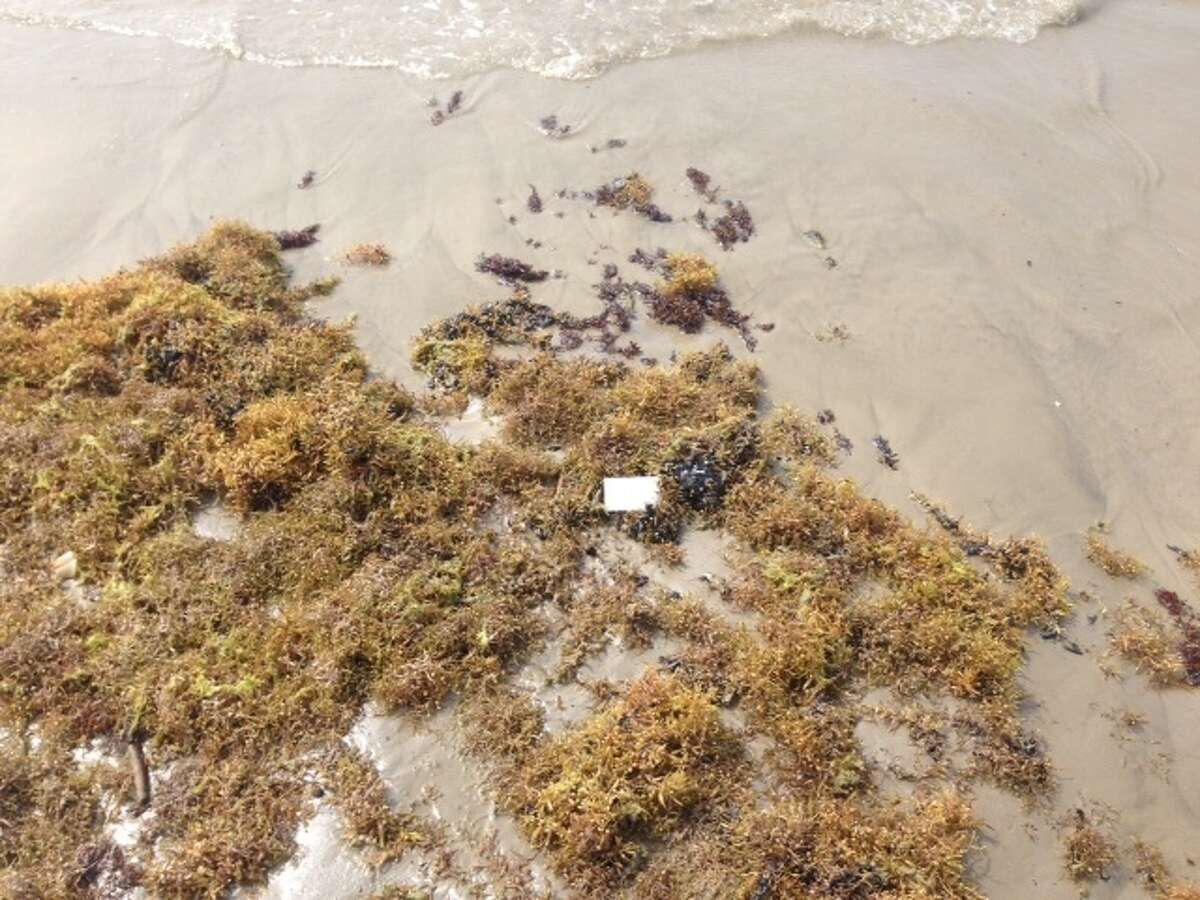 Officials looking for source of oil spill hitting Galveston beaches