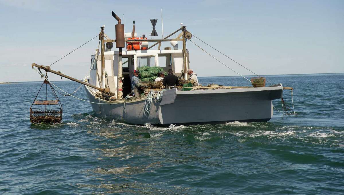 Oysters: A complicated economy and ecology