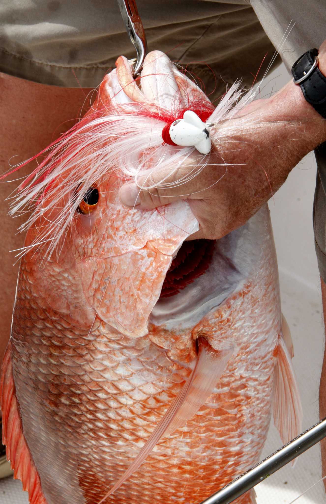 Texas' red snapper season will be shortest ever