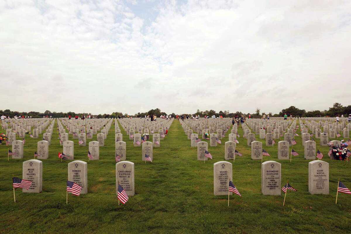 Green bay packers veterans day tribute 2024