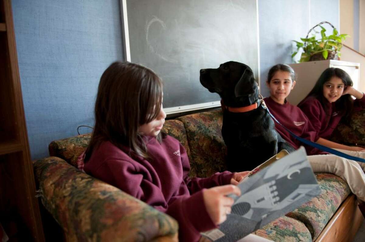 Alileen Barillas, Cintia Enamorado and Joselyn DeLeon all 11 and 6 graders at Trailblazers Academy students read out loud in the company of Eli a black lab retriever puppy Tuesday Jan. 12, 2009. For about six weeks now, struggling readers at the charter middle school have practiced in front of the least judgmental of listeners, a dog