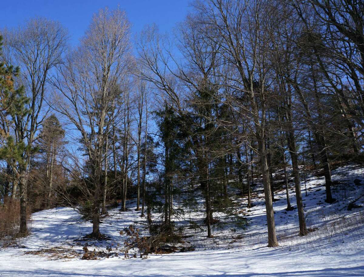 A wooded portion of the Baron's South Property as seen in winter. A developer has been selected to build a senior-citizen project on the site.