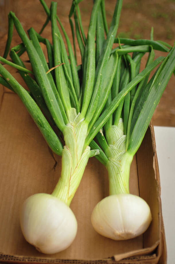 Texas has all the best state foods Houston Chronicle