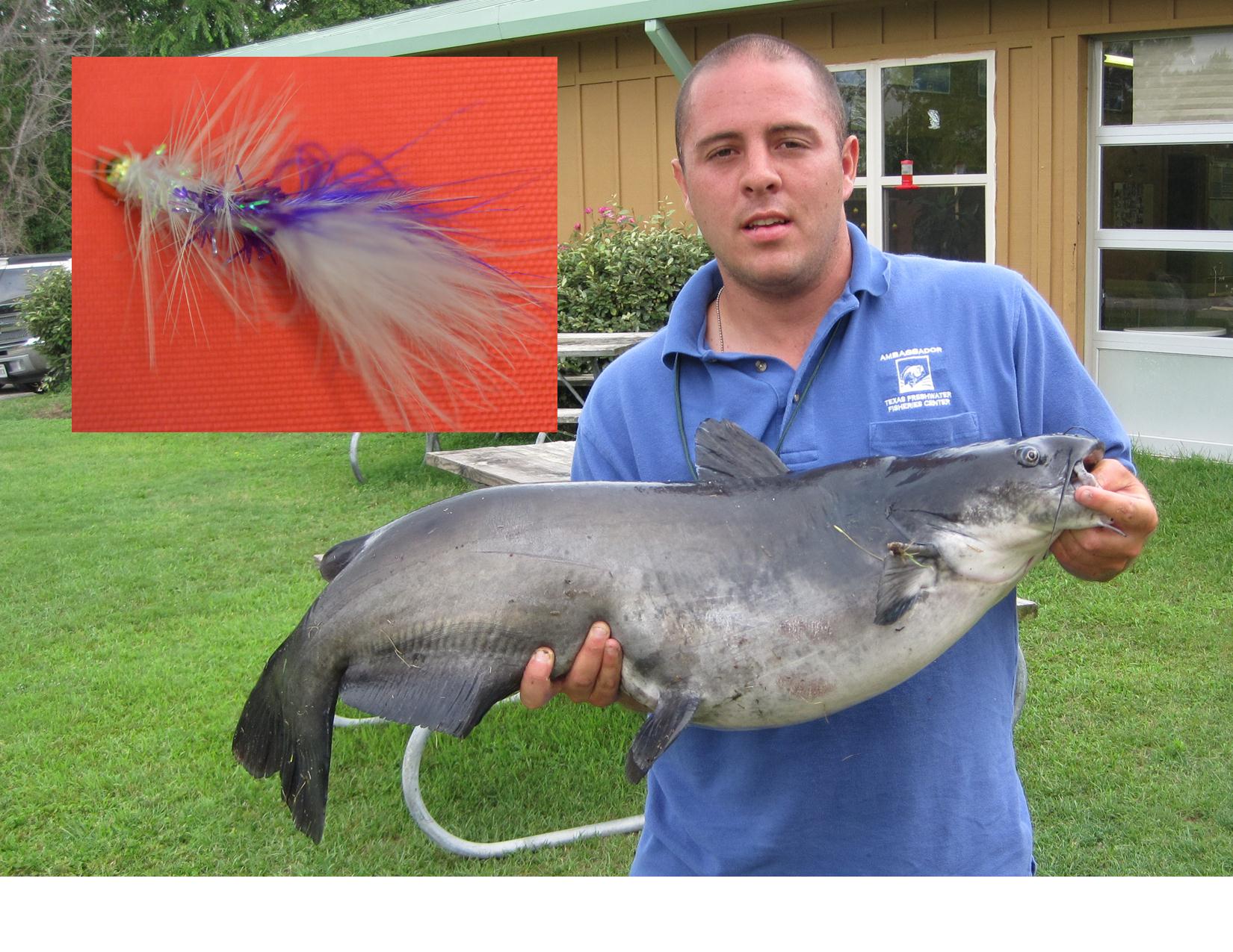 Giant catfish lands Texas angler in state record book.