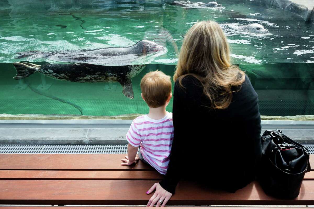 San Antonio Aquarium owners under investigation in 220 marine animal deaths