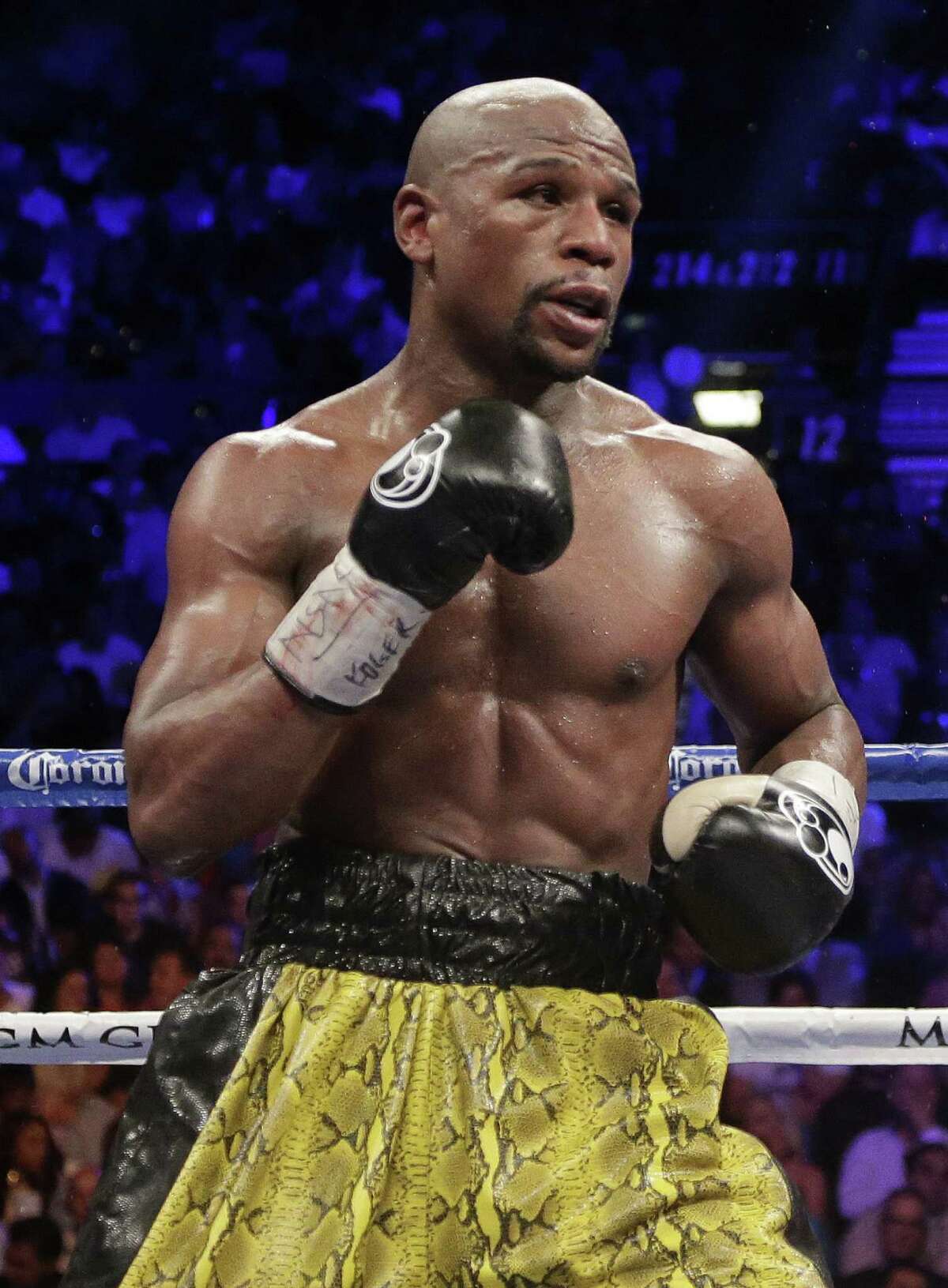 Mayweather-Alvarez packs punch