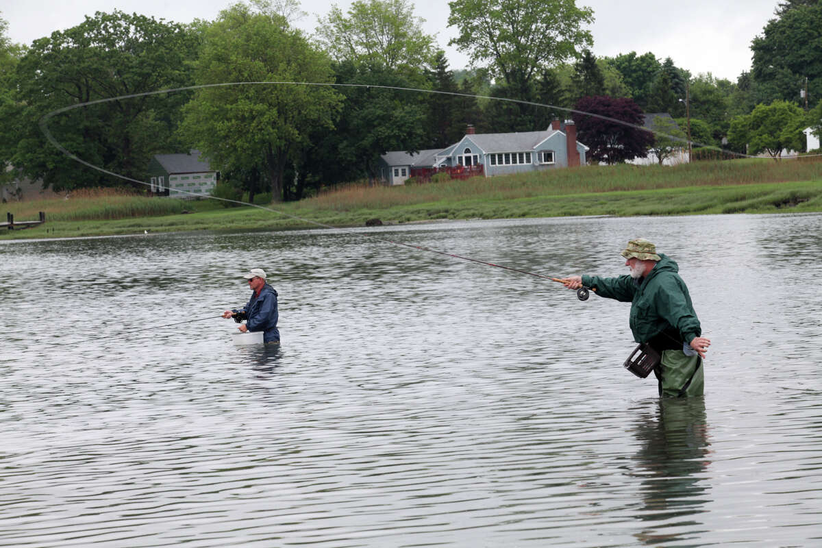 Bridgeport area dries out after flooding