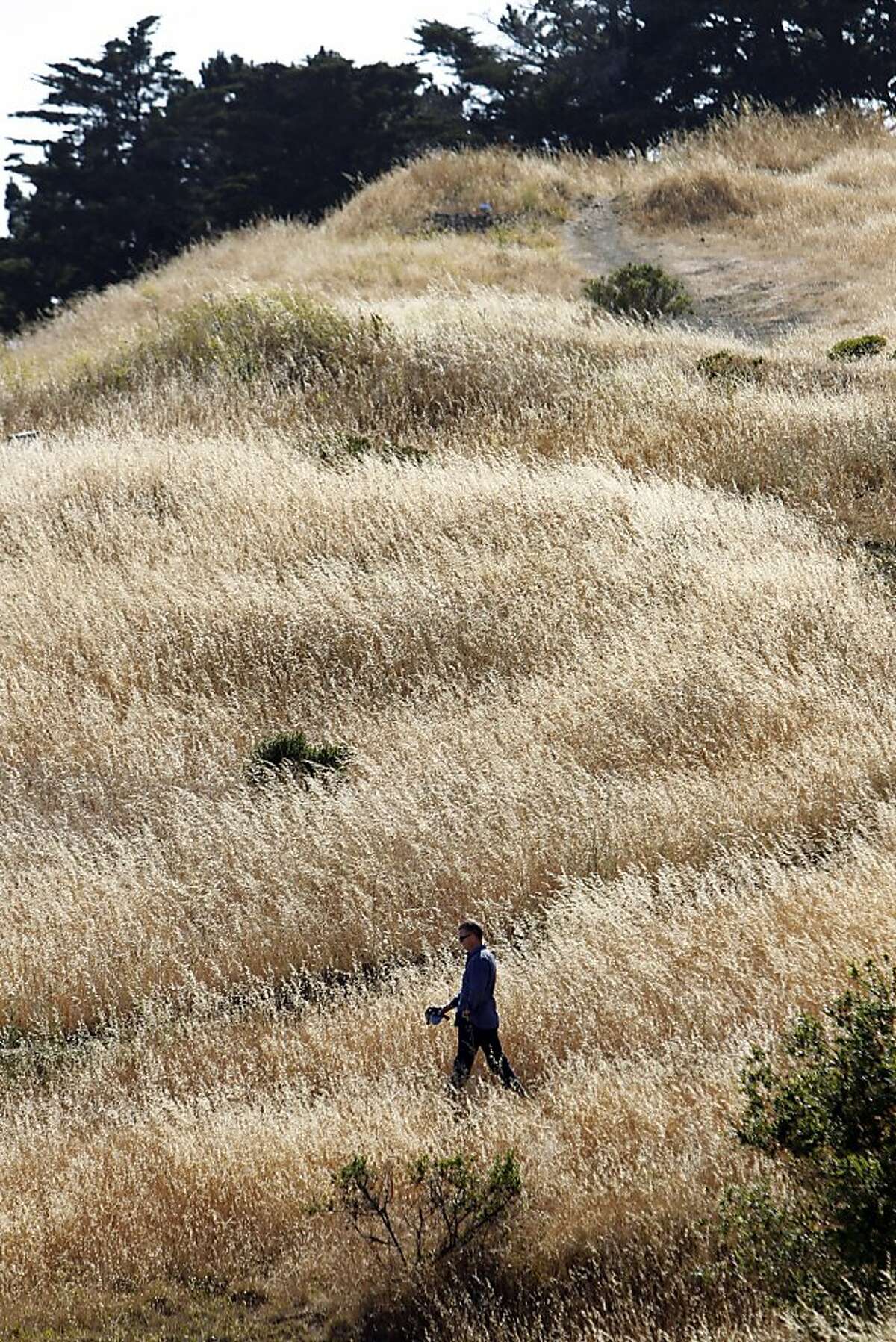 McLaren Park in S.F. sharpens focus