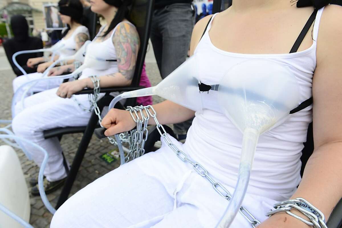 Day in Pictures June 4, 2013