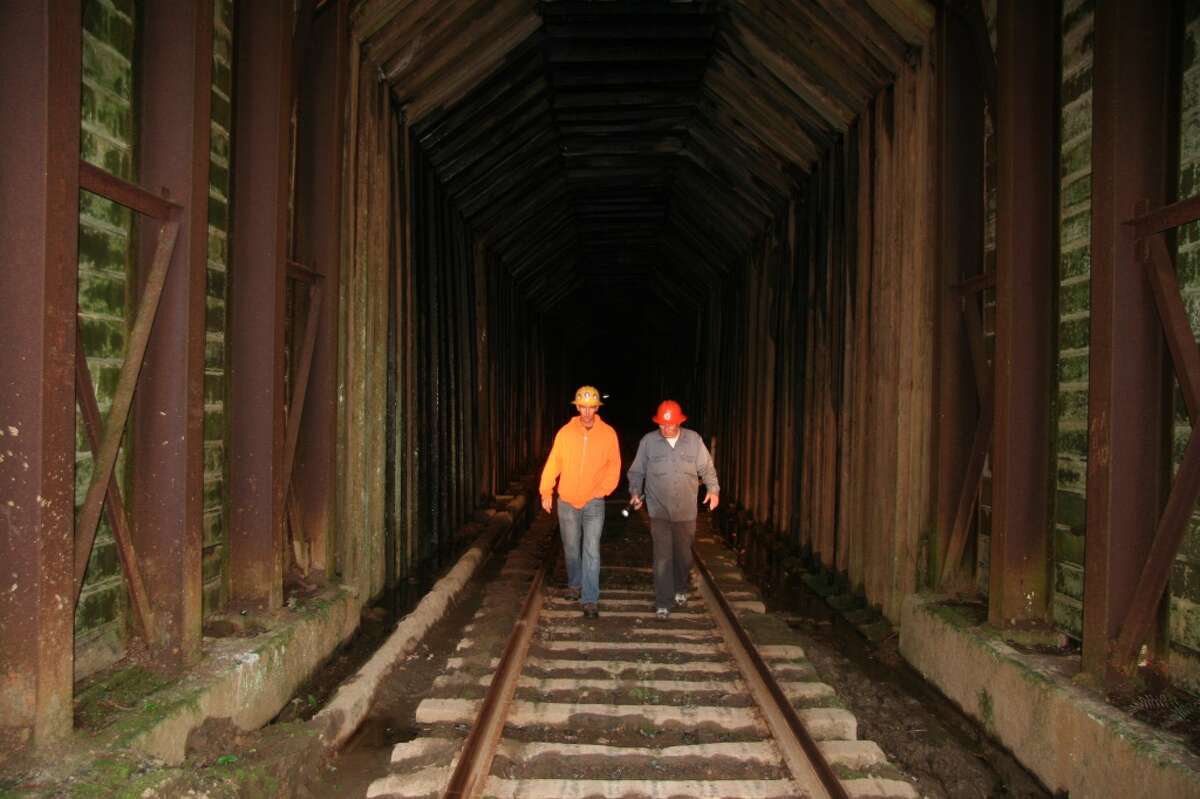 Skunk Train back running at full service