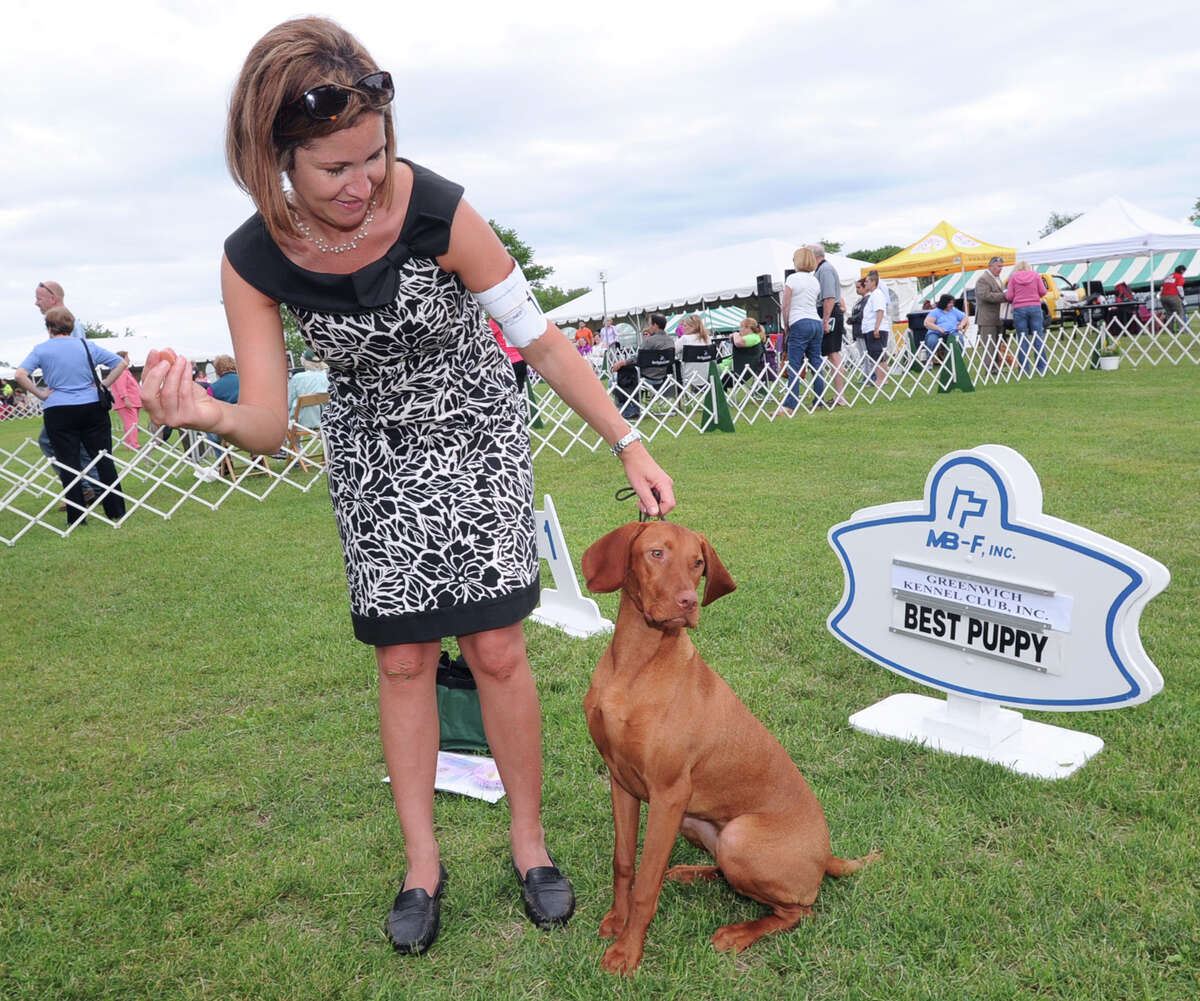 how much does a dog show handler make