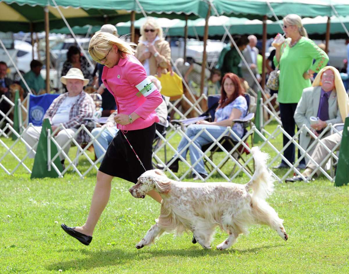 Greenwich Kennel Club plans for a day for the dogs