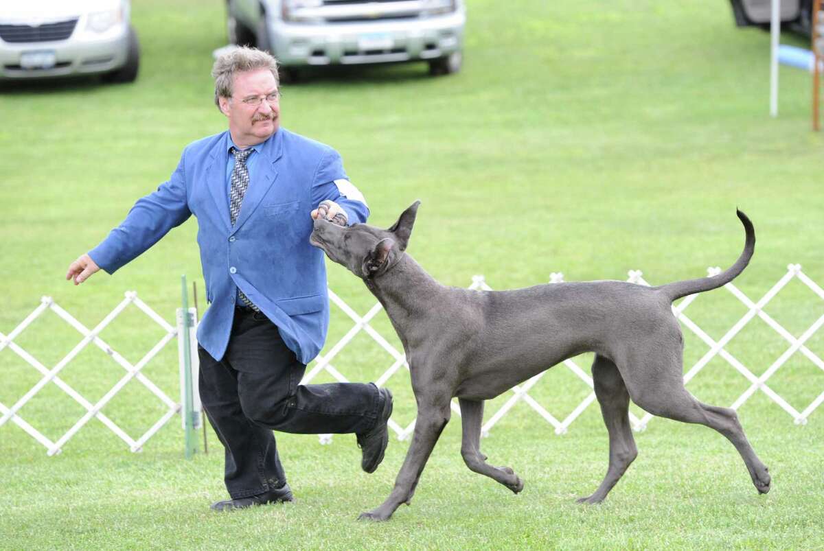 Greenwich Kennel Club plans for a day for the dogs