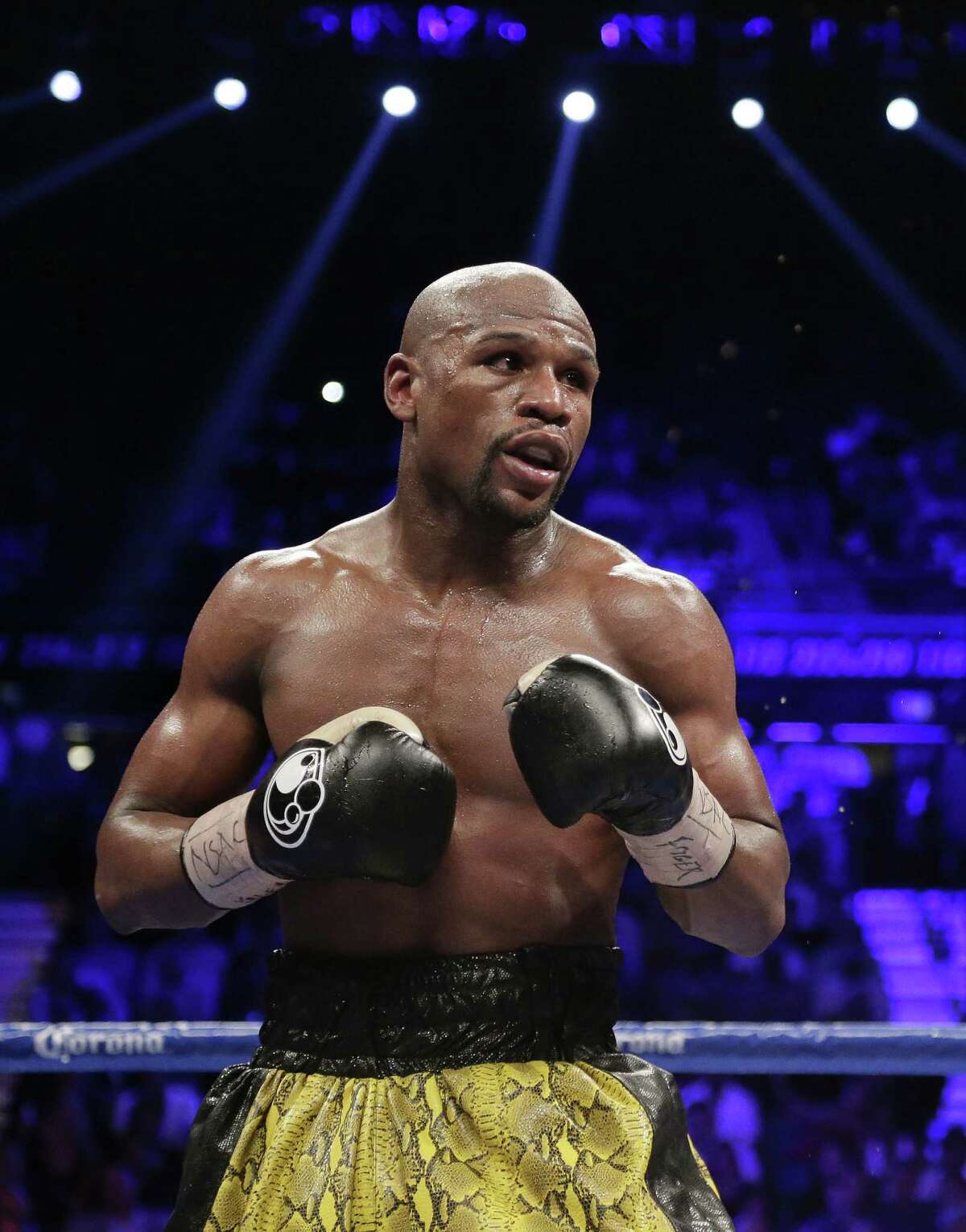Floyd Mayweather Jr. is scheduled to put his 44-0 record on the line Sept. 14 in Las Vegas against Saul “Canelo” Alvarez.