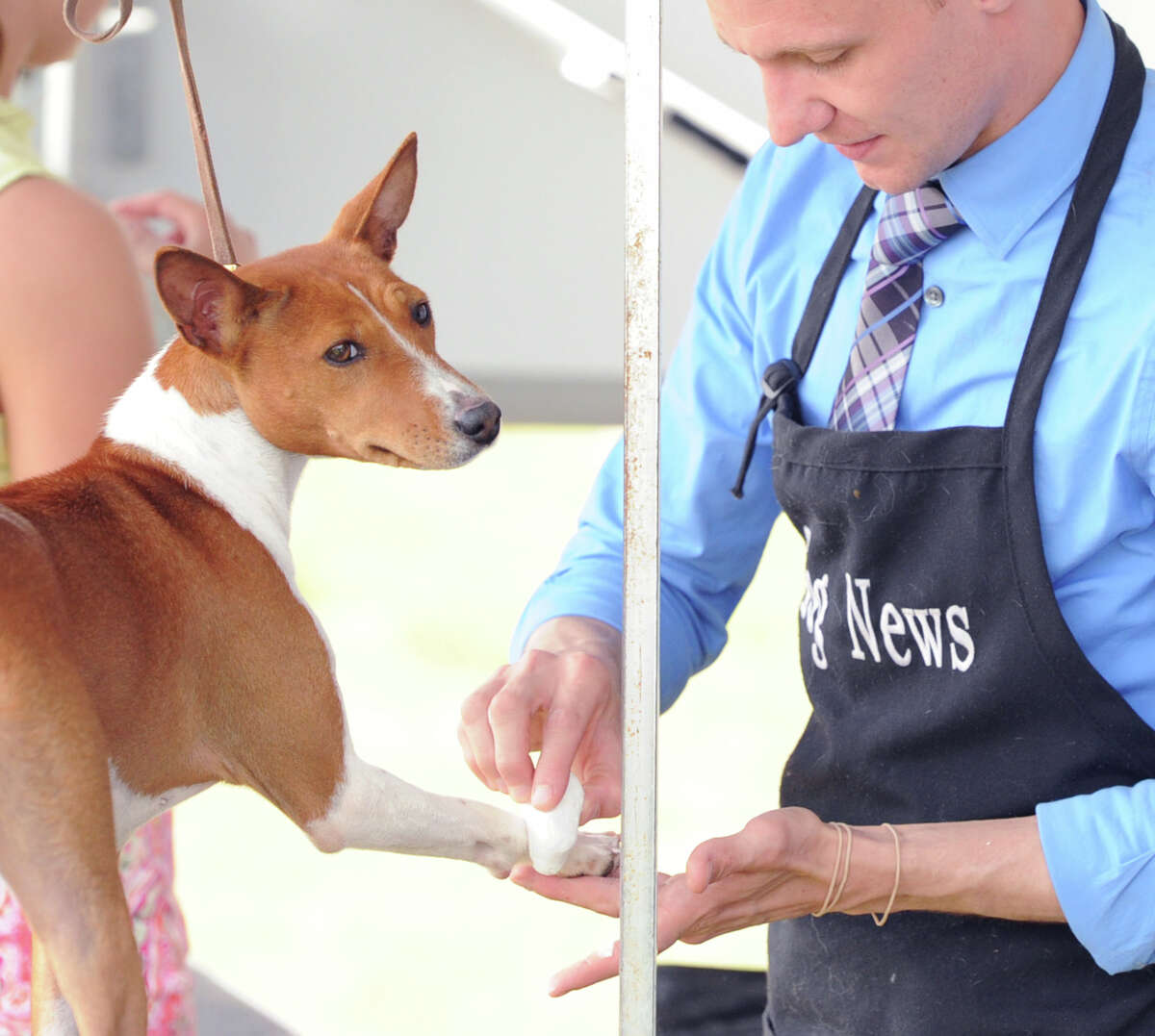 Puppies take the prize at Norwalk dog show