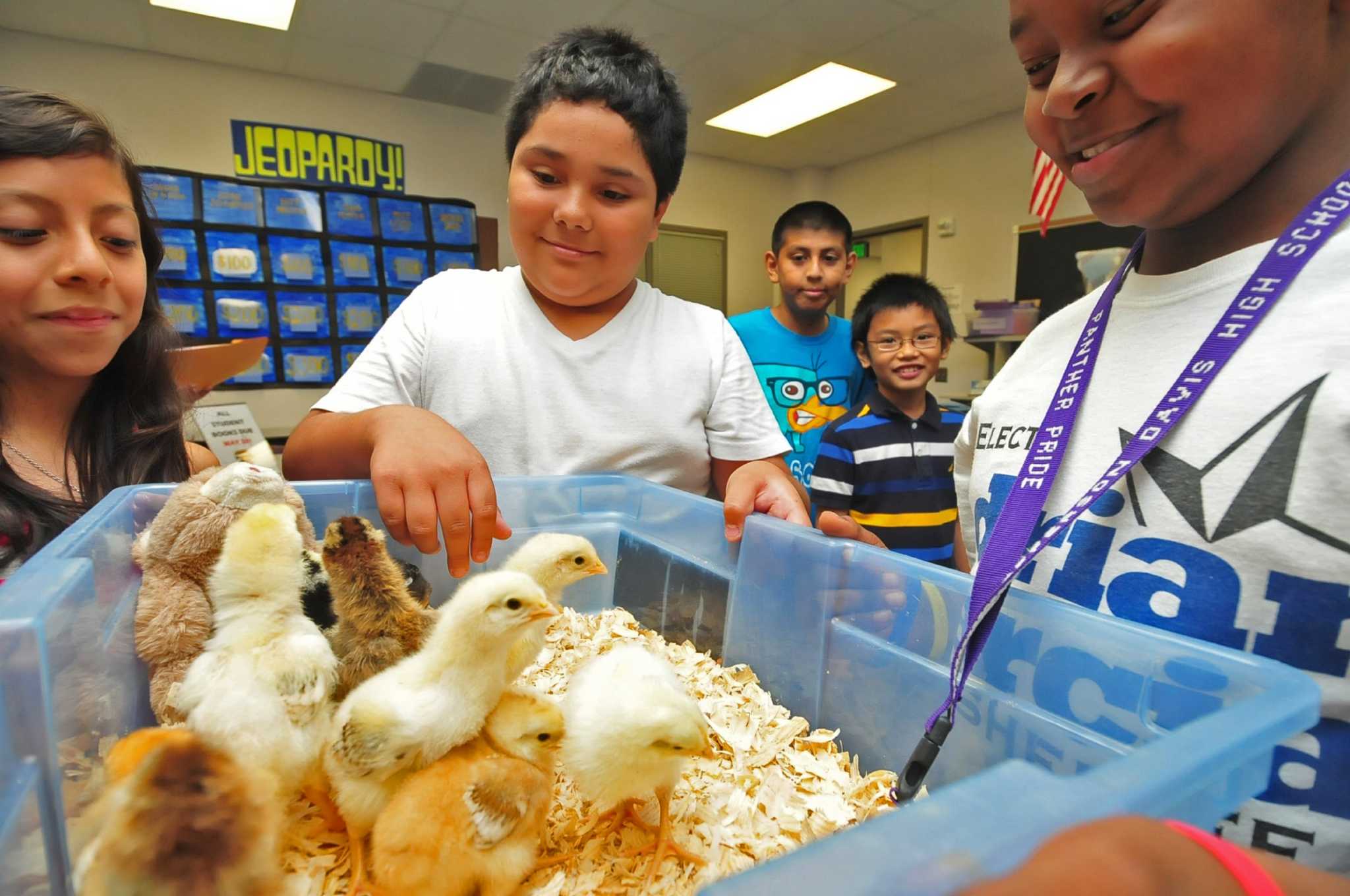 Garden offers Morton Ranch Elementary pupils handson learning