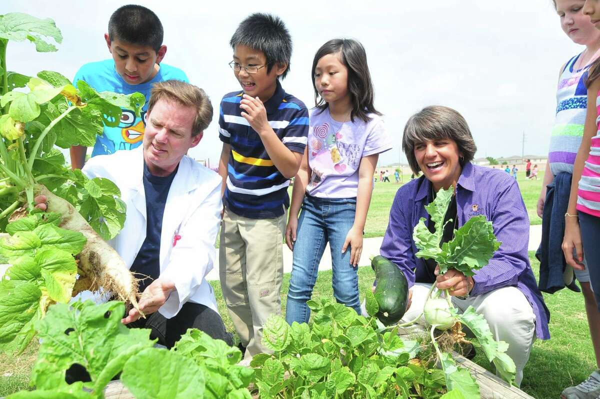 Garden offers Morton Ranch Elementary pupils handson learning