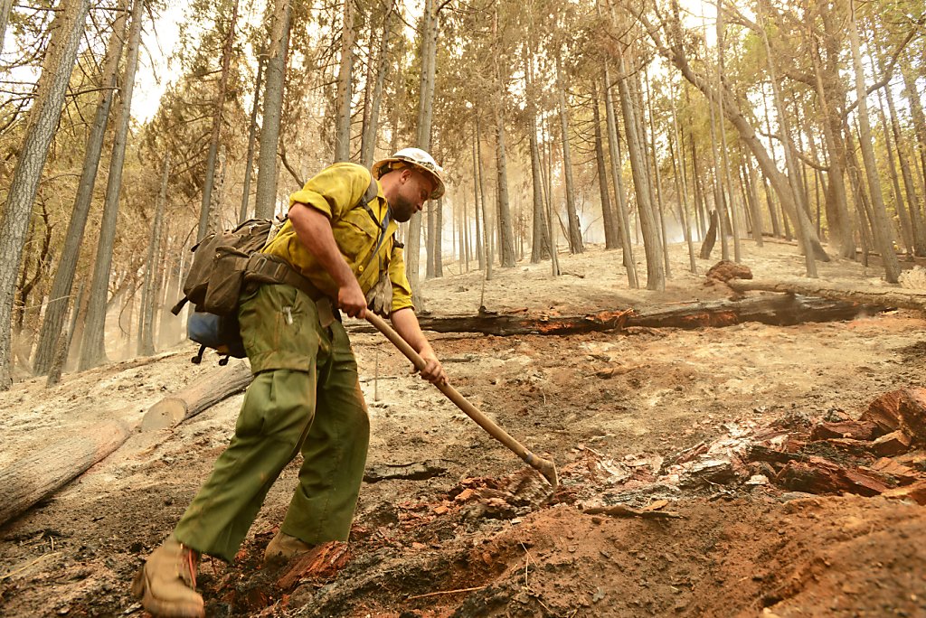 Fire near Yosemite started by campfire SFGate