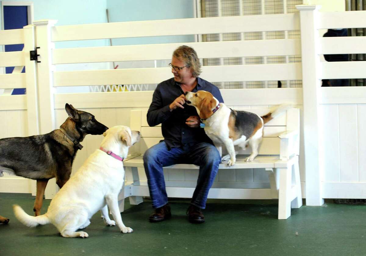 smartworks dog training