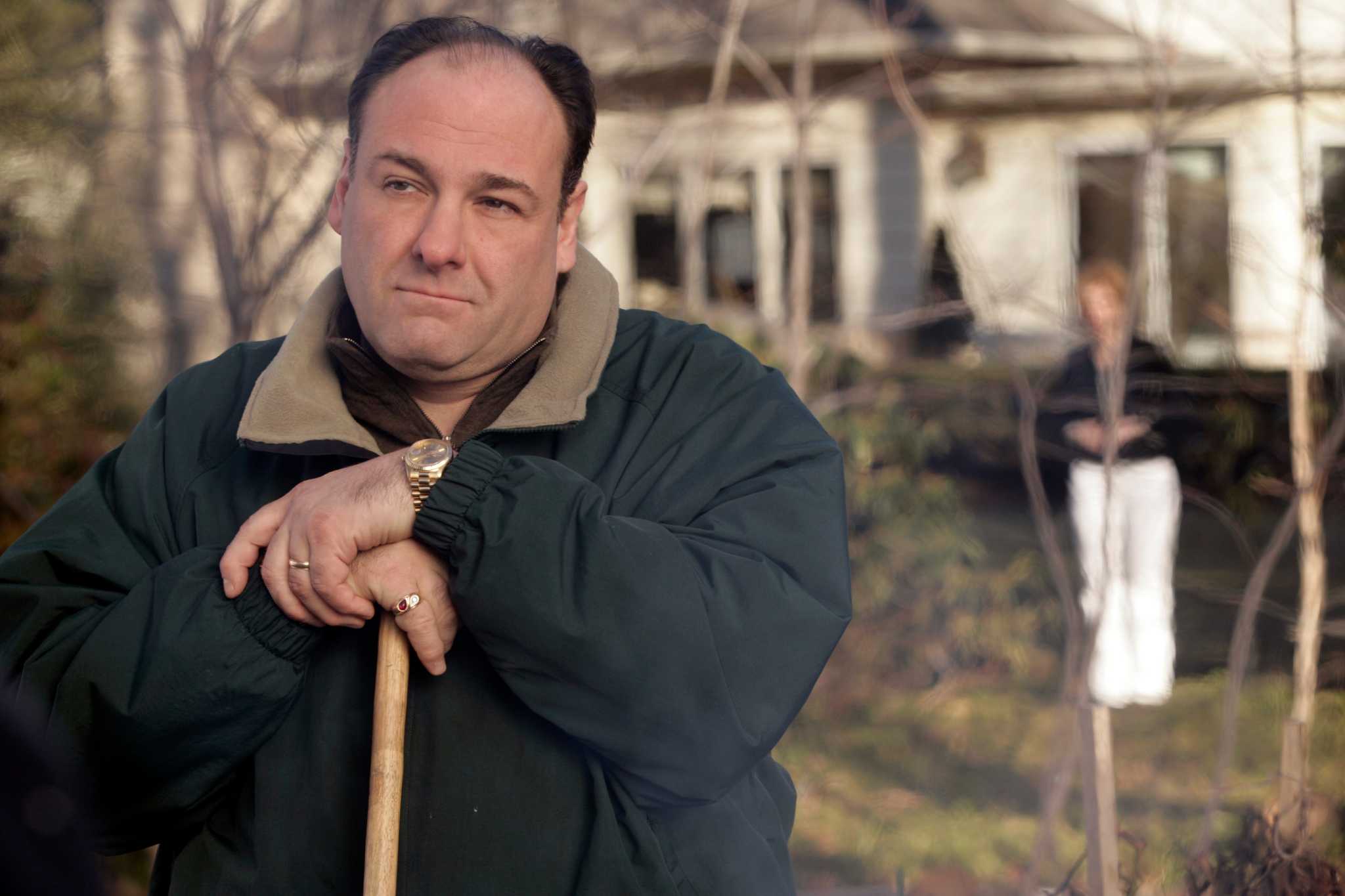 Actor James Gandolfini dies in Italy at age 51