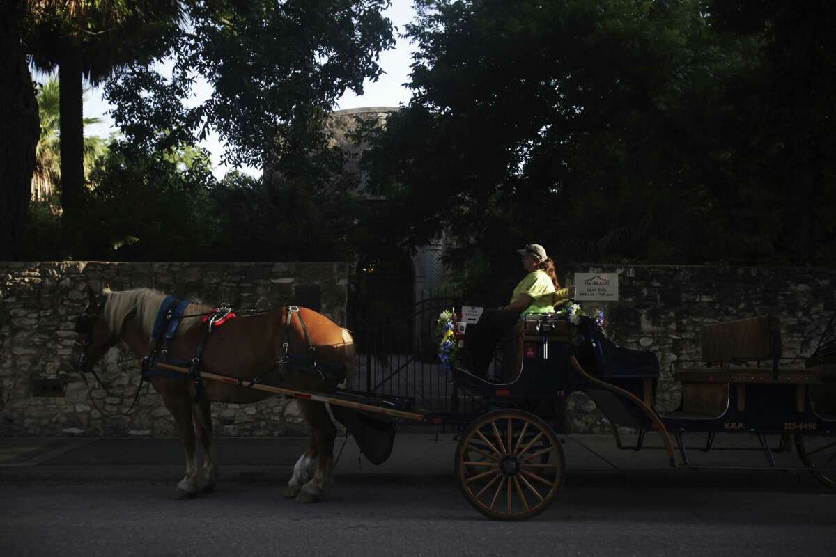 City Council approves new horse carriage regulations
