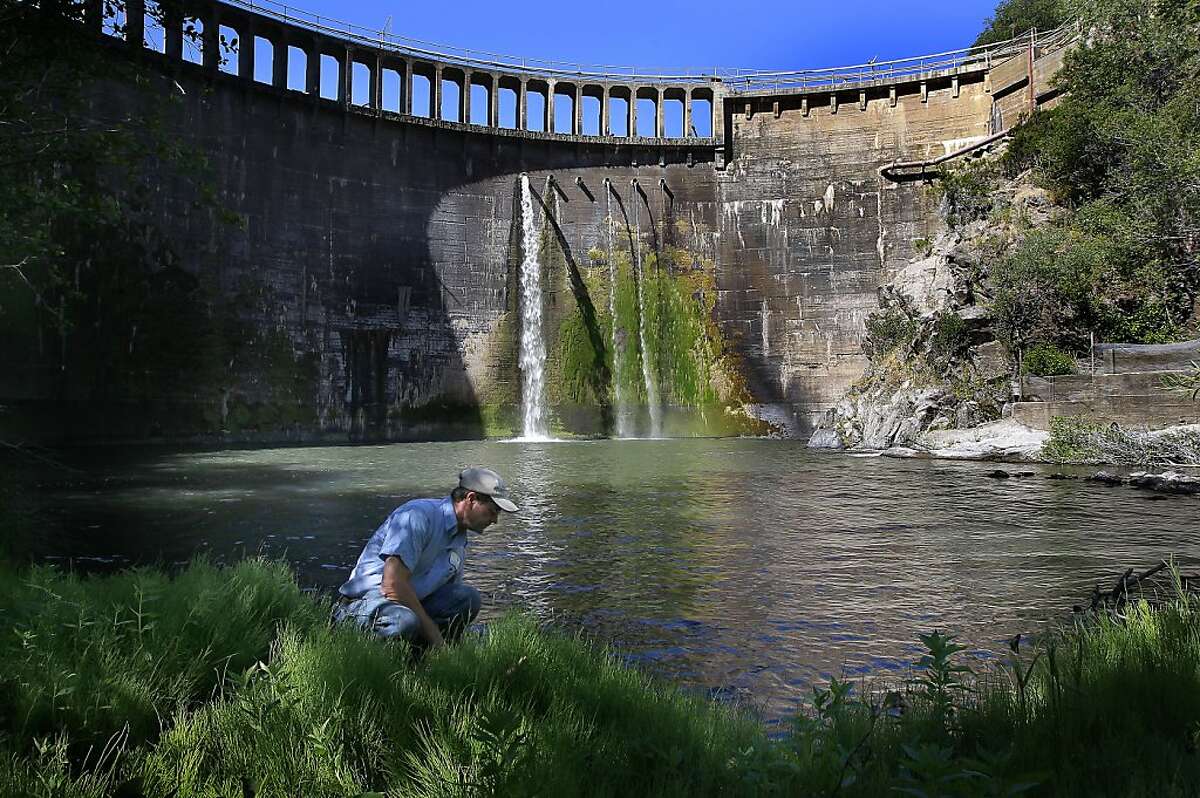The dam keeper since 1973 Don Lingenfelter below the San Clemente Dam on the Carmel River in Monterey County, Calif. on Wednesday June 19, 2013. The San Clemente Dam is being removed. It will be the largest dam removal project in California history. The last major dam removal in California was in 1970 - and that was a 50' dam. Since then there's been about 20 dam removals in the state - all 10' high or less. San Clemente is 106' in height. Conservationists hope that it will spur other dam removal projects in the state.