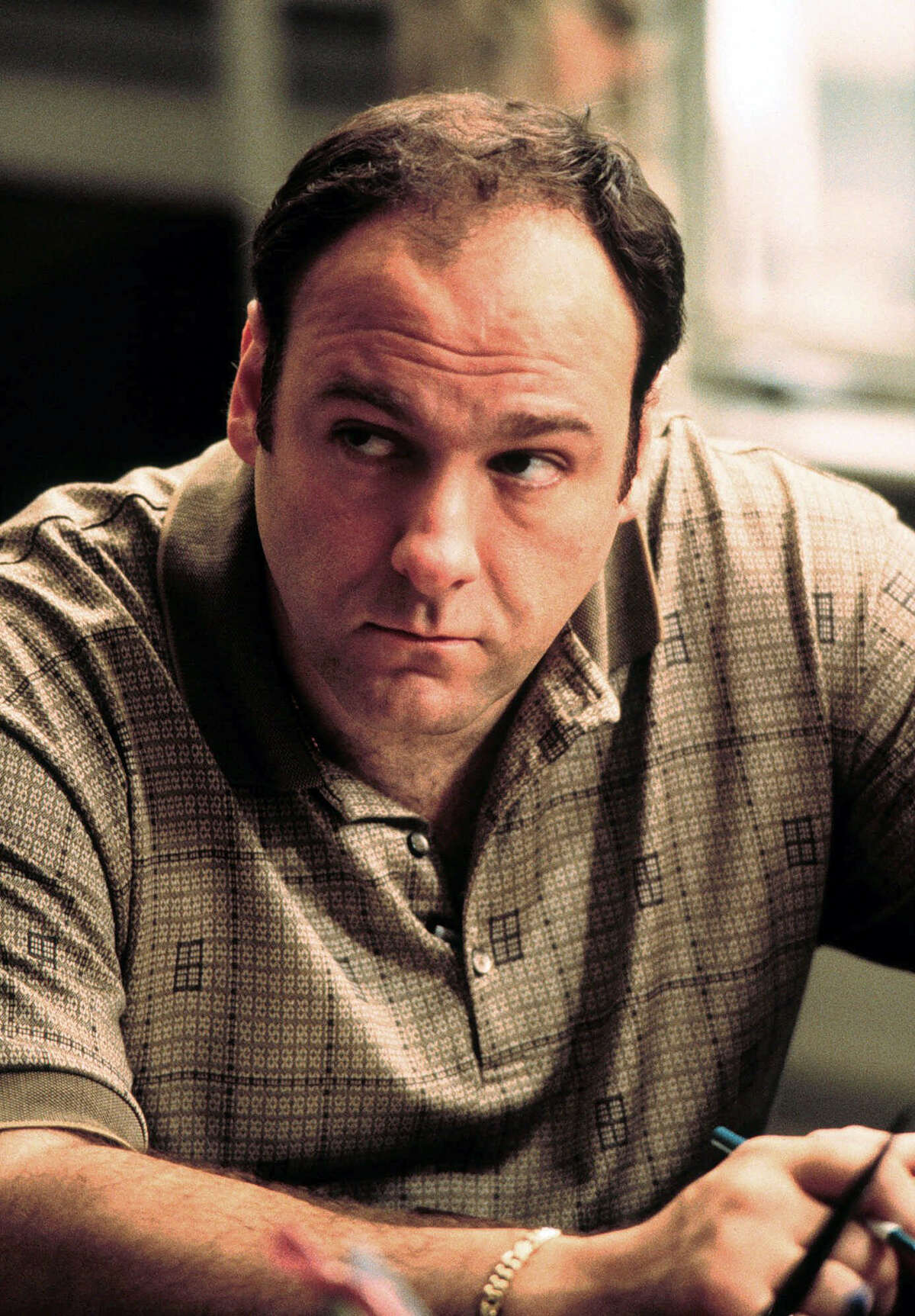Tony Soprano Real Character Changer For Television Shows