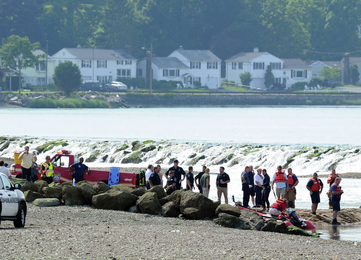 are dogs allowed at cove beach stamford