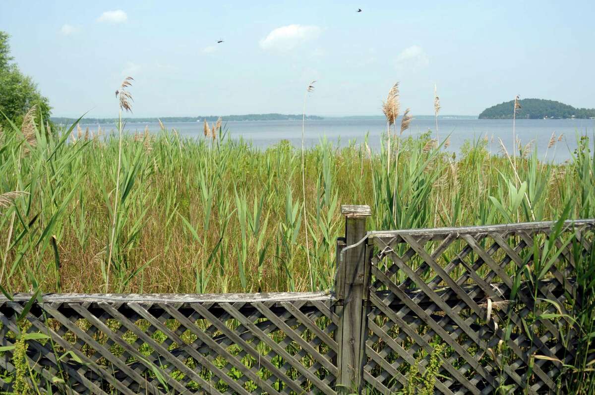 A vote for fabs to grow on